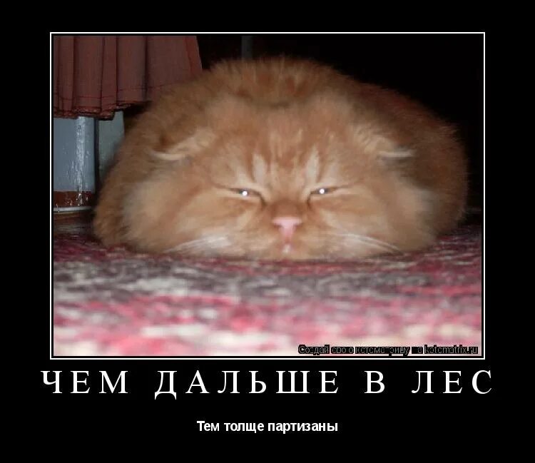 вася 3. ямин диб. век живи век учись. послать далеко и надолго. непередумаю.