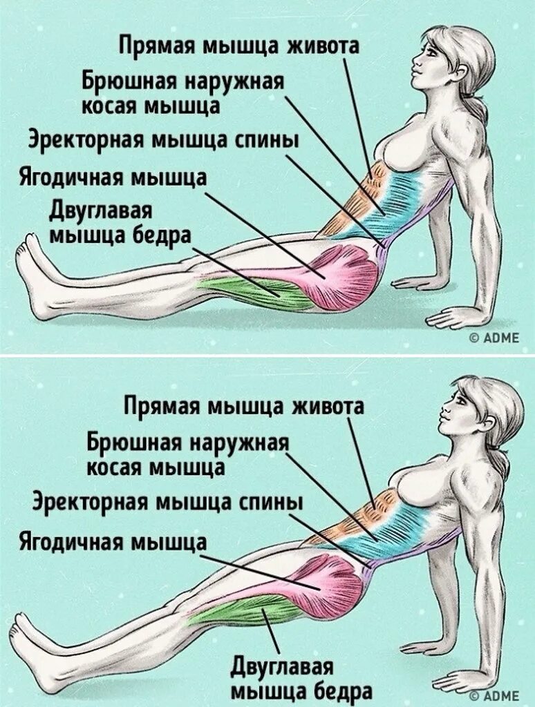 Укрепление мышц бедер и ягодиц. Упражнения для живота. упражнения для укрепления мышц ягодиц и бедер. упражнения для сжигания жира на животе. упражнения для сгорает жира.