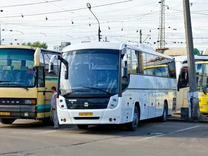 Автобус торжок тверь на сегодня