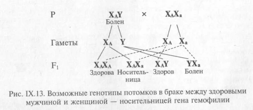 Какой генотип у родителей. Женщина носительница рецессивного Гена гемофилии. Генотип родителей и ребенка. Здоровая женщина, носительница Гена гемофилии?. Схема наследования гемофилии.