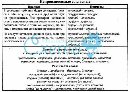 Двойные согласные в корне примеры