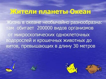 Жизнь в океане 7 класс