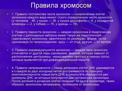 Определенное количество хромосом