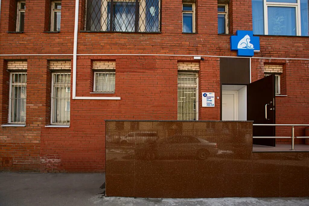 стачек 37 ветклиника. ветклиника на ул почтовая. ветклиника автово. ветклиника аверс вет барнаул официальный. руставели 66 ветеринарная клиника.