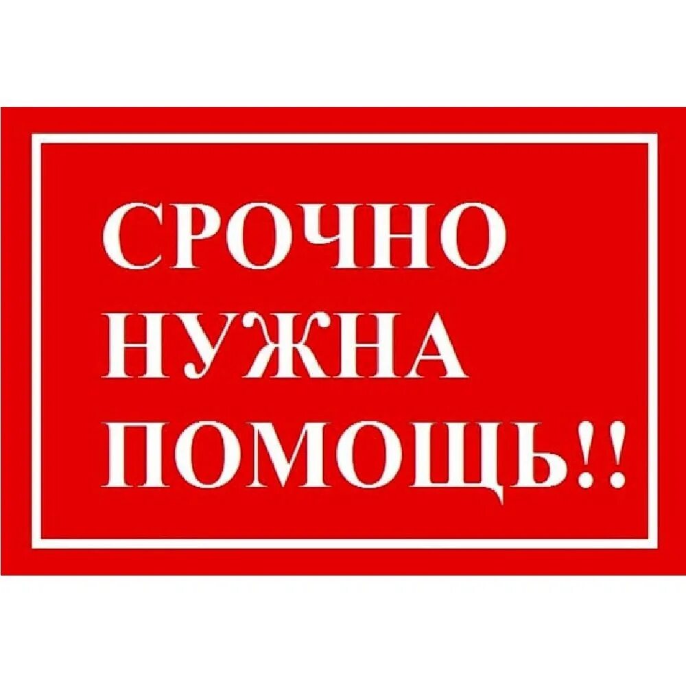 Нужна помощь семье. Срочно нужна помощь. нужна помощь. сос срочно нужна помощь. нужна срочная помощь.