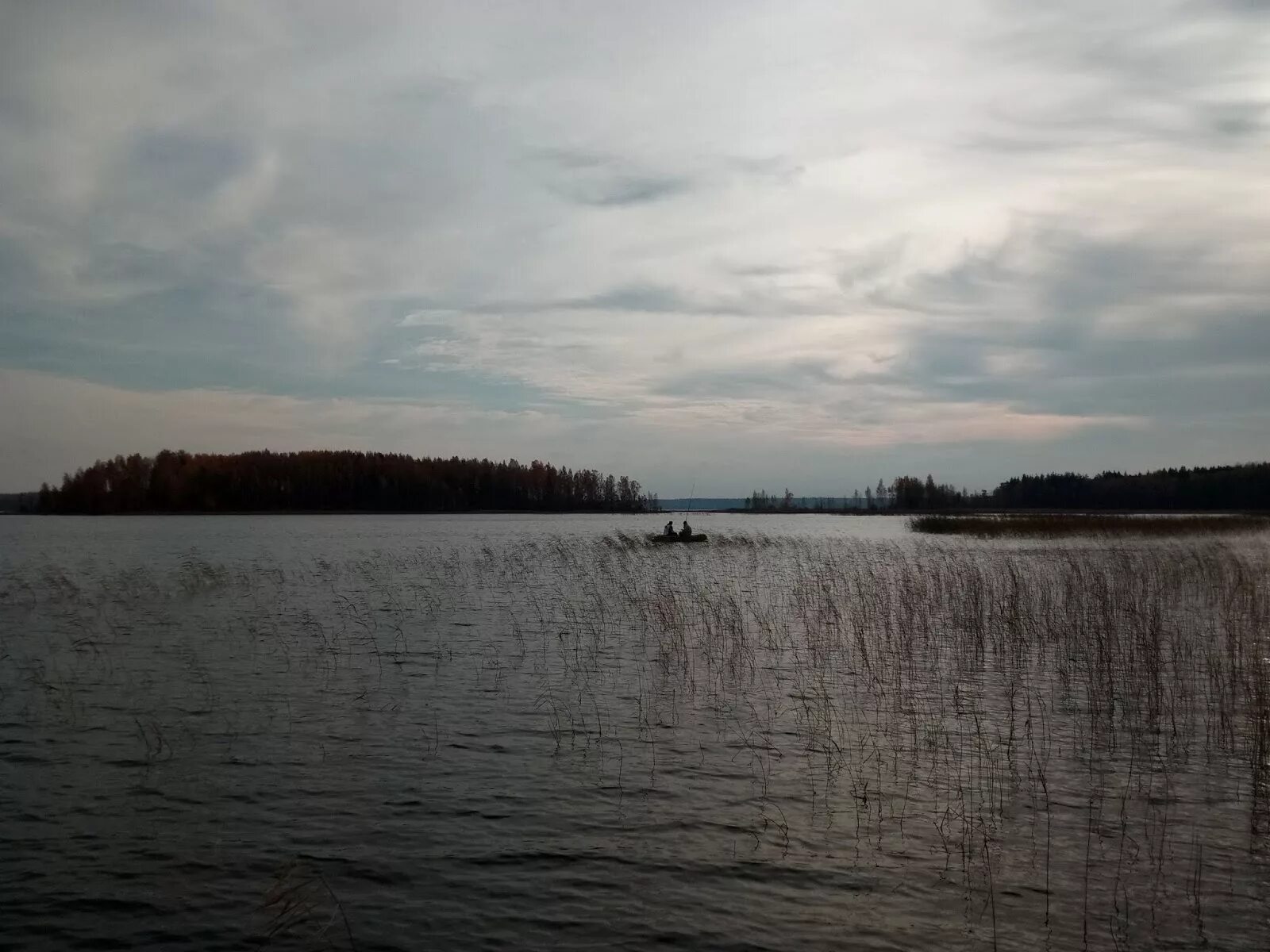 Озеро глубокое рыбалка. Озеро глубокое Выборгский район. Озеро глубокое Ленинградская. Озеро глубокое Кингисеппский район. Выбргскийр-он озеро глубокое.