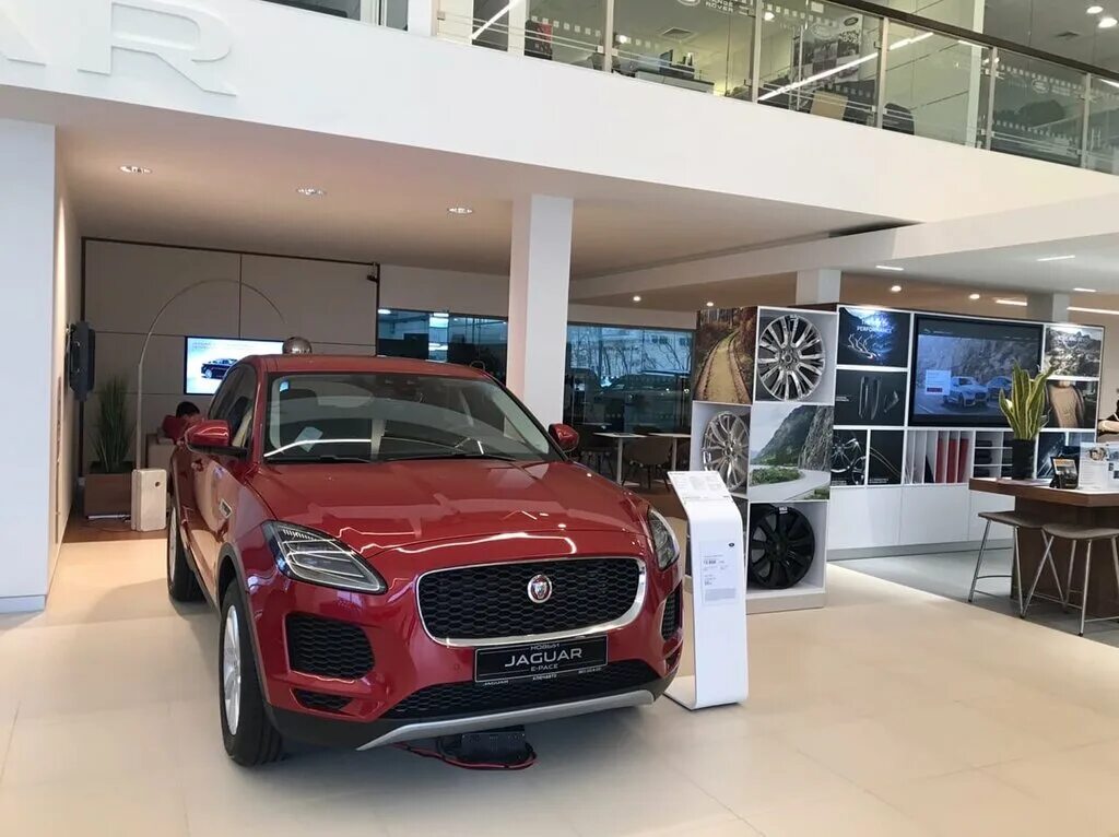 Jaguar одежда. Ягуар воронеж отзывы. Ягуар машина как у кобякова. Красный ягуар вкус. Армада ягуар автошкола воронеж.