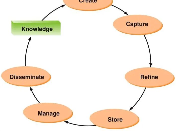 Knowledge systems