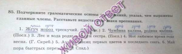 Пламенное сердце поджигатель. Акция огонь. Пылавший предложение. Реклама магазина постельного белья. Горячее предложение.