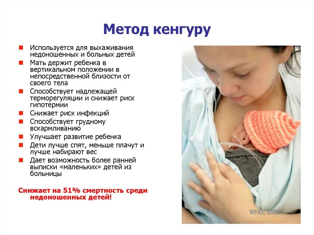 Очередность рубок ухода за лесом. Способы размножения комнатных цветов. Виды товарной обработки. Уходу метод. Способы ухода за мебелью для детей.