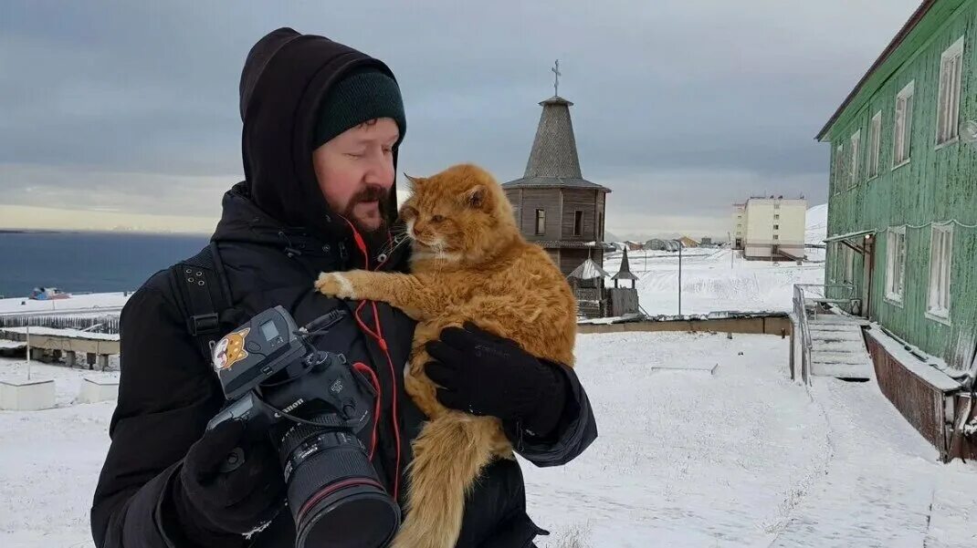 Почему на шпицбергене запрещены кошки. Кеша баренцбург. кеша на шпицбергене единственный кот. шпицберген баренцбург.