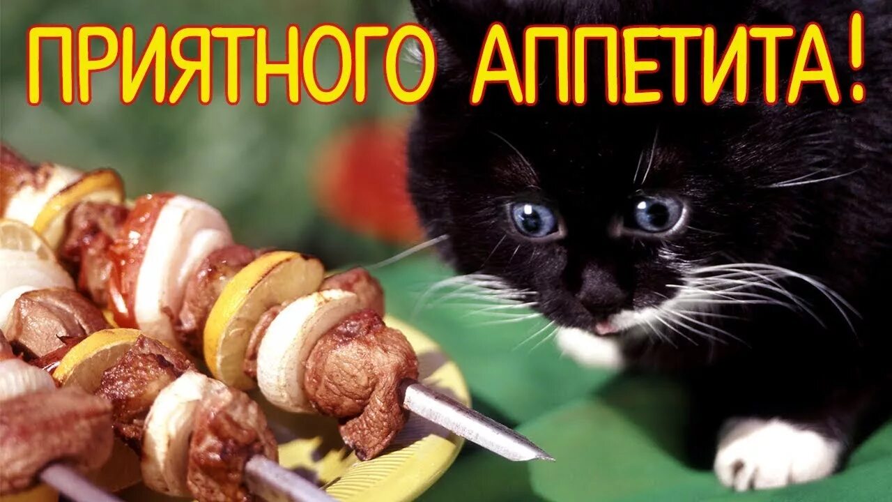 Пожелания приятного аппетита любимой девушке