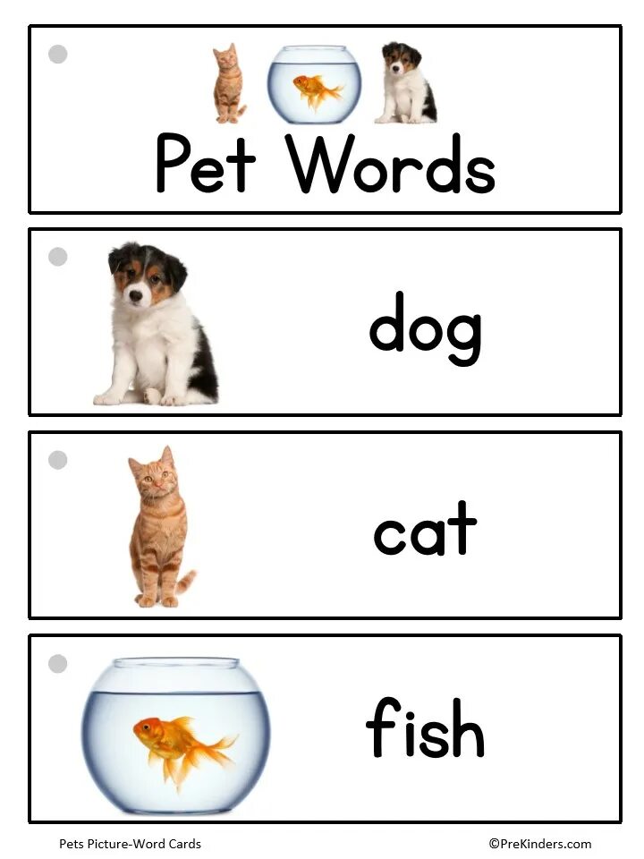 Pet pdf