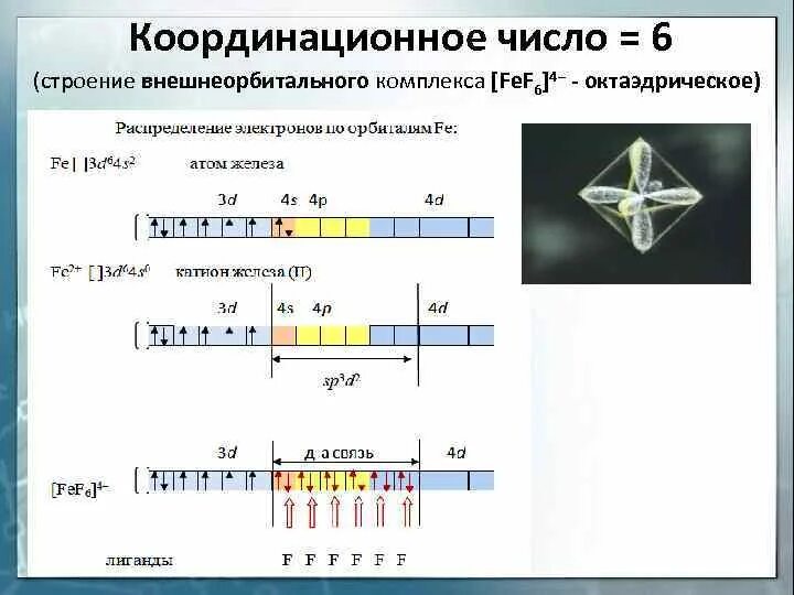 Координационное число комплексообразователя в соединении. Октаэдрическое строение комплексов. Координационное число железа. Координационное число в комплексе. Октаэдрическая структура комплекса.