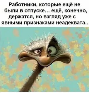 Хоть ты меня понимаешь