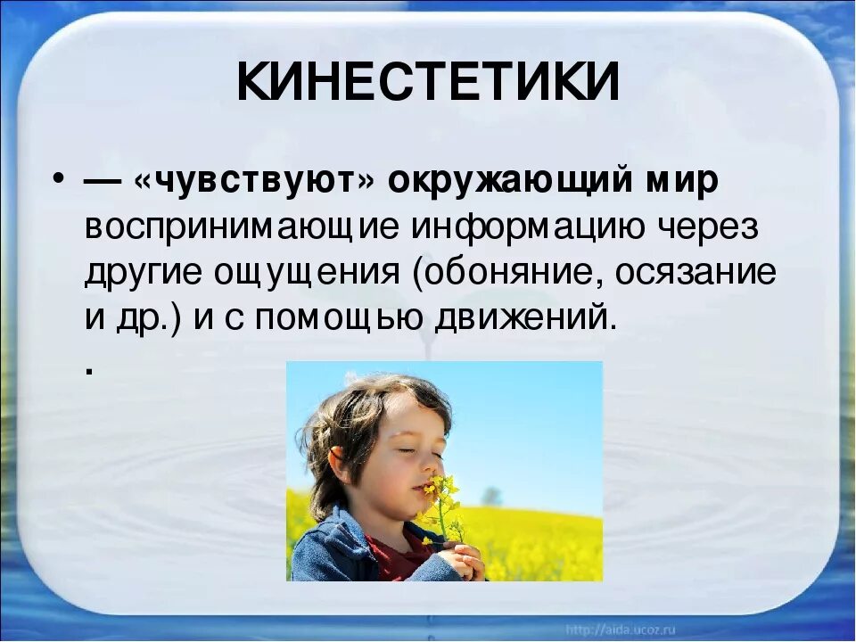 Кинестетик. Кинестетик это человек который. Человек кинестетик в психологии. Люди кинестетики. Ощущается по другому