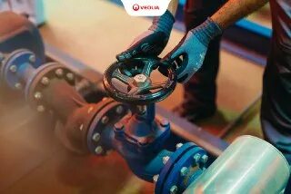 Viola energy tashkent
