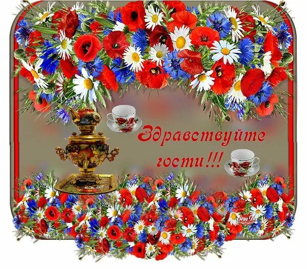 игра зеленая аптека. приветствие в стихах. приветствие гостей на празднике. песня здравствуйте гости. текст песни здравствуй.