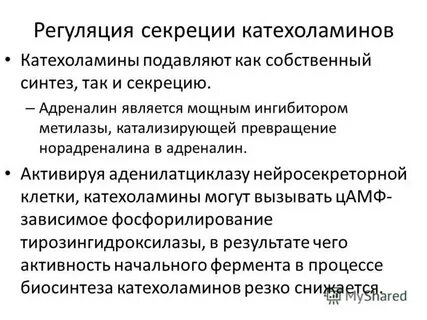 Секреция адреналина
