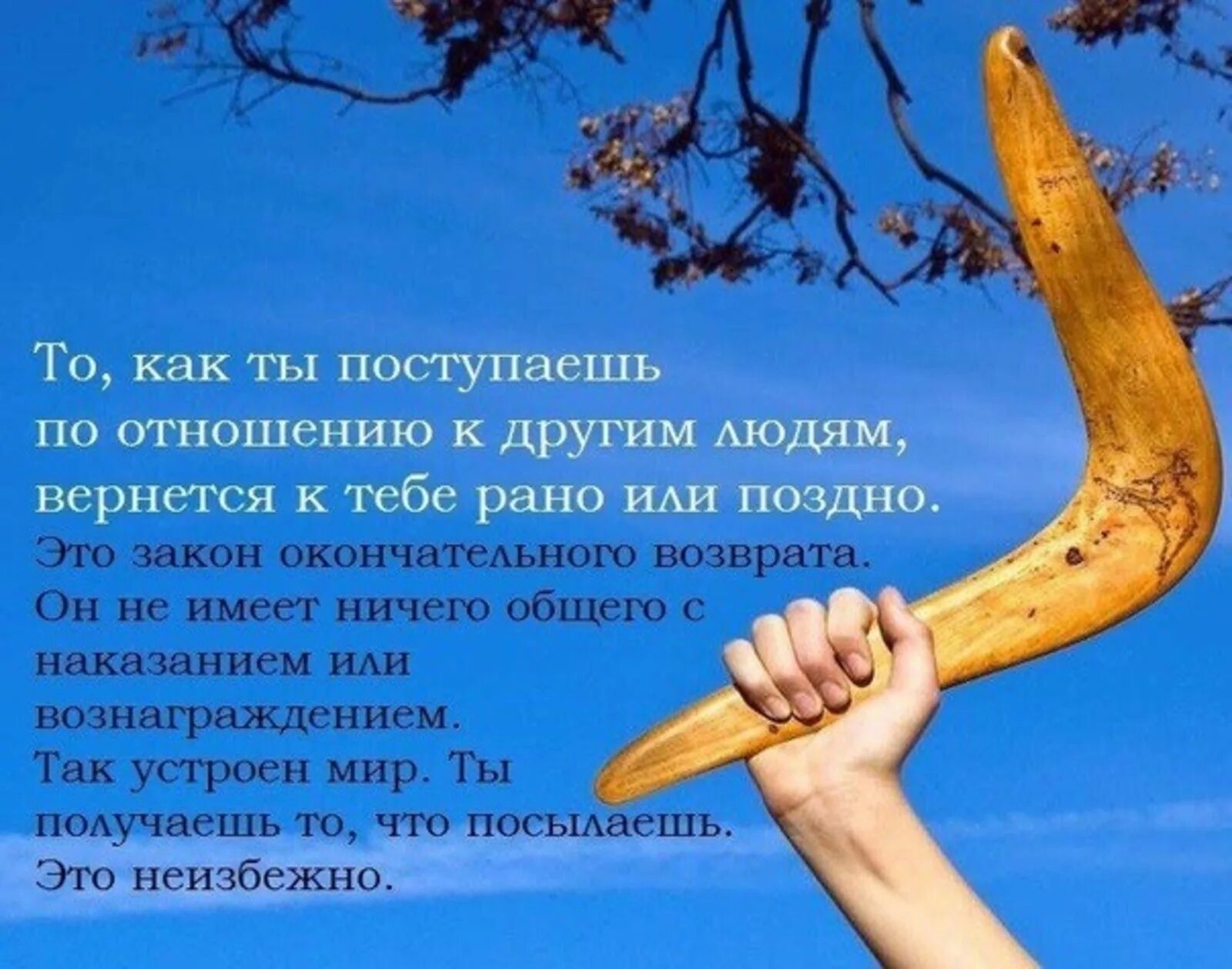 Все возвращается бумерангом цитаты