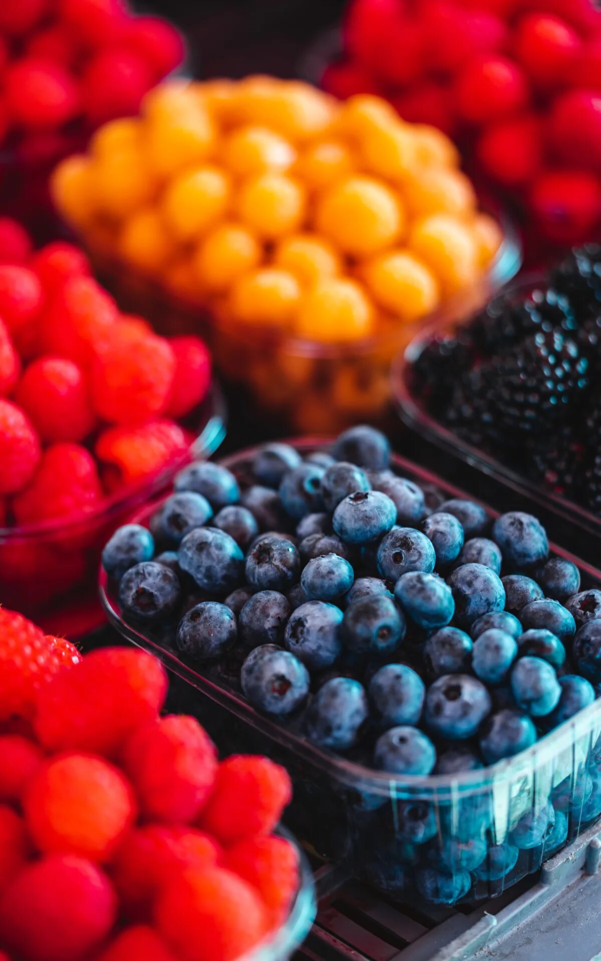 ежевика малина голубика. несколько ягод. малина смородина крыжовник. смородина, крыжовник, малина, ежевика. сочная ягода.