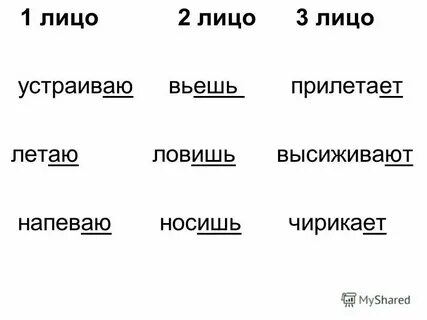 Племя единственное число