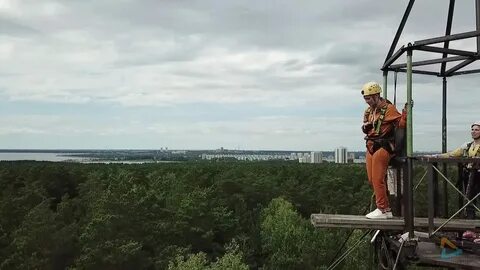 Сколько учиться на вышке на юриста
