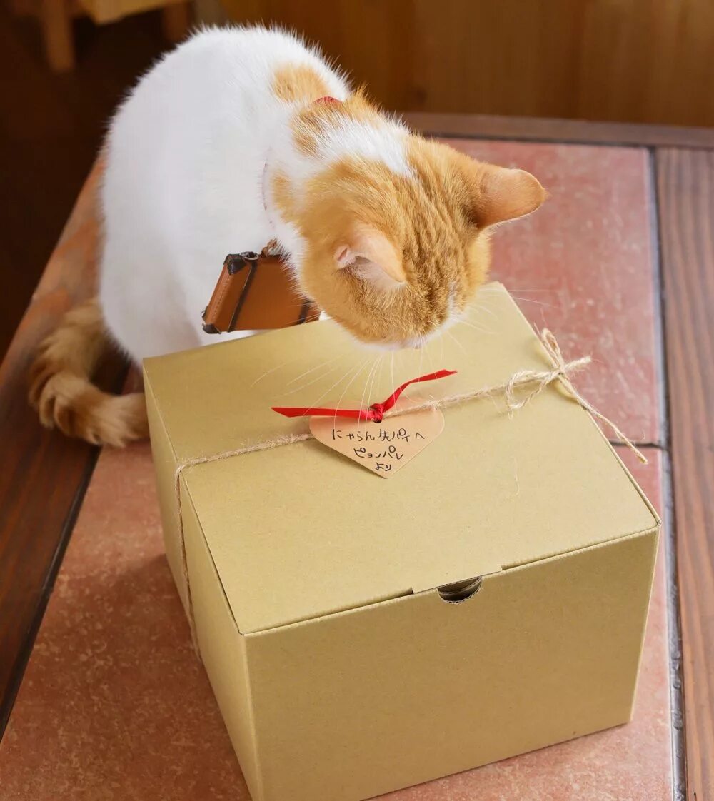 Набор бокс с кофе. Подарок ничего. Как сделать подарок ничего. Подарок ничего. Подарок маме с ваими руками.