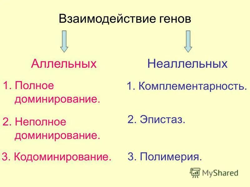 Аллельные и неаллельные взаимодействия. Взаимодействие аллельных генов. Взаимодействие амельных и не амельных генов. Взаимодейсвие алельный и не аленьгых генов.