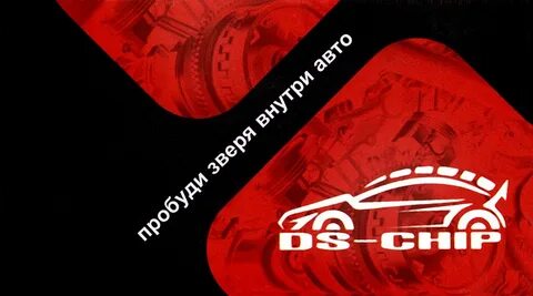 Чипе курск