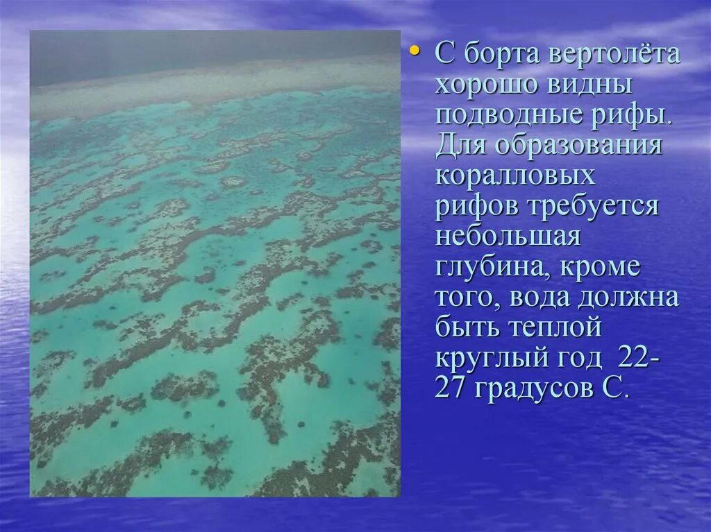 Презентация большой барьерный риф. Презентация большой барьерный риф. Барьерный риф тихого океана. Большой барьерный риф австралия презентация. Презентация большой барьерный риф.
