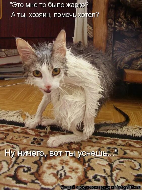 Открытая дверь самолета. Мне жарко мне жарко я вижу пламя я вижу пламя. Мне жарко я вижу пламя. Картинки мне жарко. Космонавт людмила мне жарко.