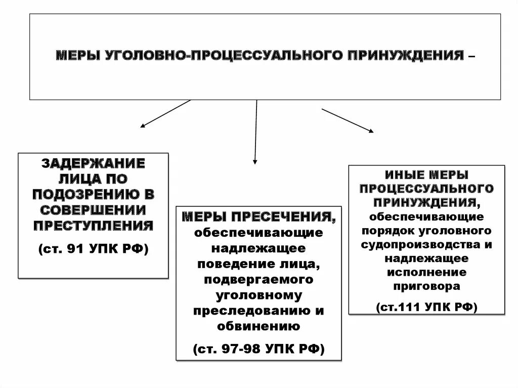 246 упк. Меры уголовно-процессуального принуждения УПК классификация. Меры процессуального принуждения в уголовном процессе. Меры государственного принуждения Уголовный процесс. Понятие мер уголовно-процессуального принуждения.