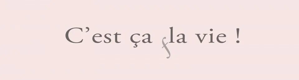 Перевод c est la vie на русский. C`est la vie компьютерная Графика. C est la vie вино. C'est la vie философия. C'est la vie- такова жизнь.