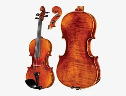 Violin made