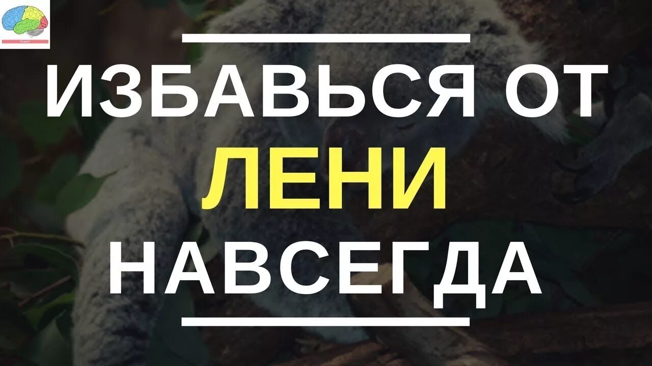 Нет оправданий сила самодисциплины брайан. Избавиться от лени навсегда. лень самомотивация. книга как избавиться от лени. брайан трэйси нет оправданий.