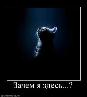 Она не зачем