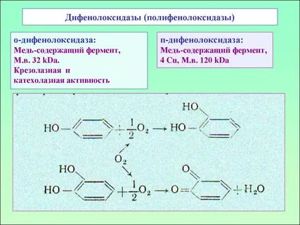 Активность меди