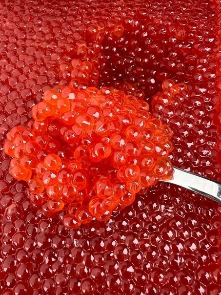 Икра чавычи как выглядит
