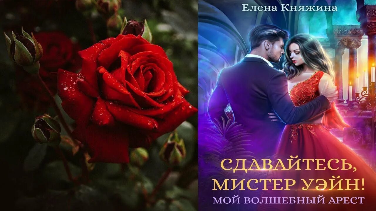 Любовное фэнтези слушкин. Книги про призраков и любовь. Книги фэнтези 2023. Любовное фэнтези аудиокниги. Любовное фэнтези слушкин.