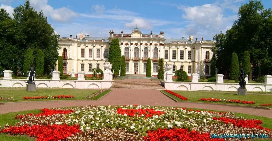 Московская сельскохозяйственная академия имени к. А. Российский аграрный университет им к. Российский государственный аграрный университет факультеты. Тимирязева.