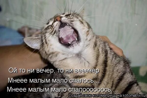 слова песни ой то не вечер. ой да не вечер да не вечер мне малым-мало спалось текст. пелагея "ой да то не вечер , то не вечер. ой да не вечер да не. ой то не вечер.