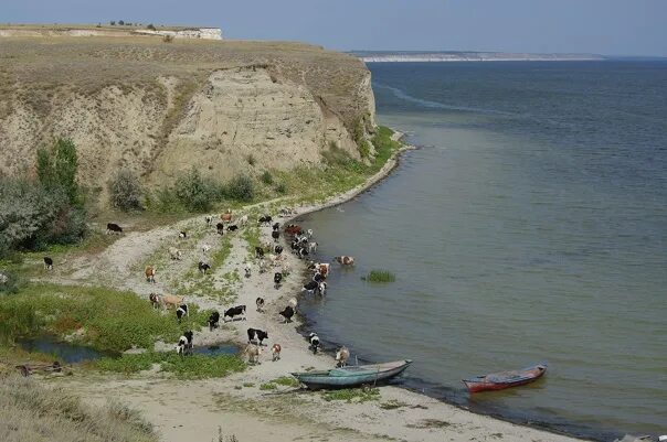 Погода саратовская область красноармейский район нижняя банновка