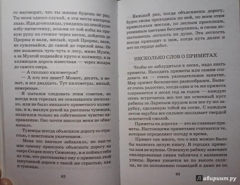 Паустовский дорога к озерам шла через лес. Мир примет бесконечно разнообразен изложение. Мир примет бесконечно разнообразен текст. Паустовский дорога к озеру шла через лес текст.