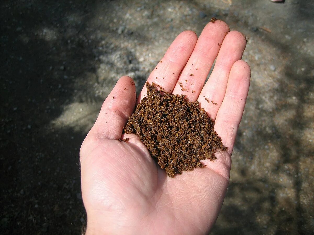 Soil is the rich and useful nature dirt. Удобрение органическое. Soil. Rich soil. Universal potting soil fertiplus.