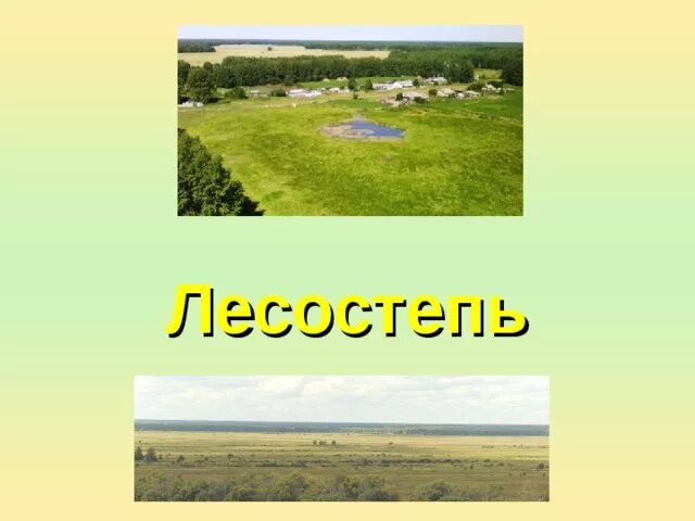 В какой природной зоне омская область. Лесостепь Омской области. Лесостепная зона Омской области. Природные зоны Омской области карта. Лесостепи и степи рельеф.