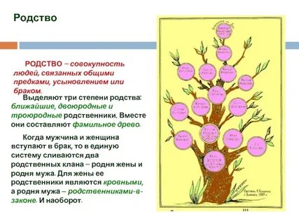 Родственники мужа истории