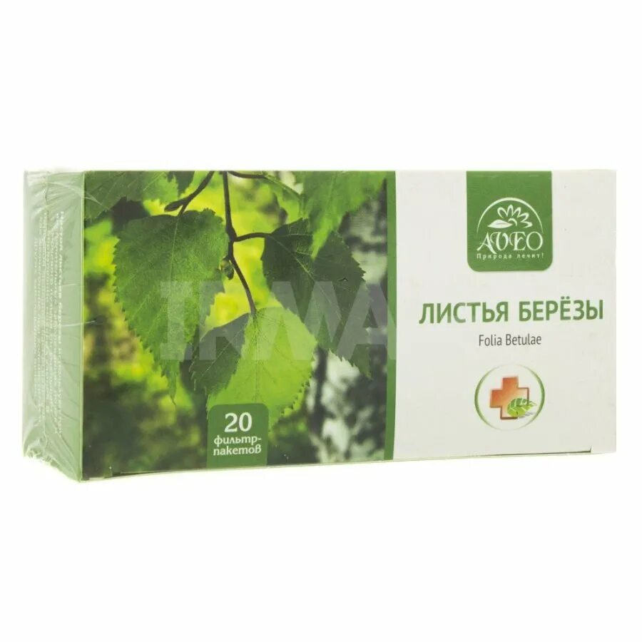 Лечение березовыми листьями