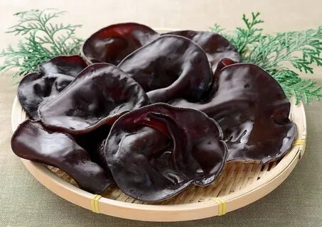 Древесные грибы как приготовить