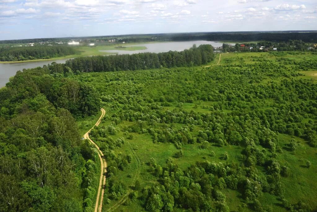 Экологическая территория московской области. Долина реки Волгуша и Парамоновский овраг. Леса Дмитровского района Московской области. Лес подмосковный Можайск. Московская область Дмитровский р-он природа.